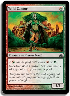 Wild Cantor