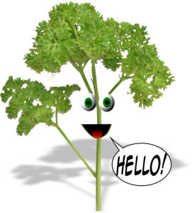 What's Green and sings Blue Suede Shoes? Elvis Parsley