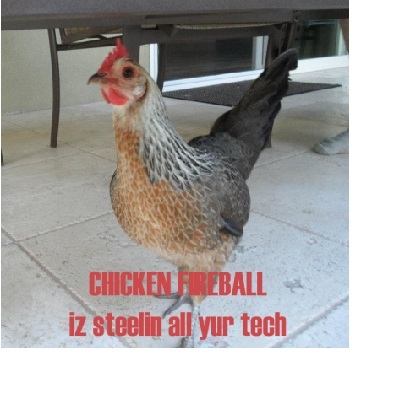 Chicken Fireball