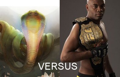 Snake Versus Spider!