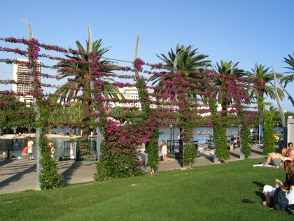 Arbor Walk Beach