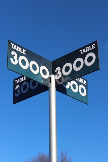 Table 3000