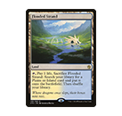 Flooded Strand