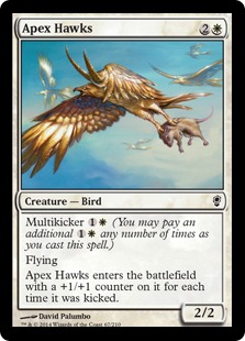 Apex Hawks