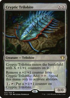 Cryptic Trilobite