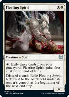 Fleeting Spirit