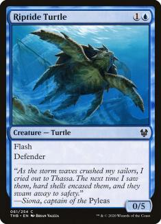 Riptide Turtle