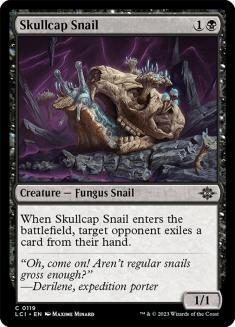 Skullcap Snail