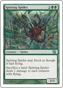 Spitting Spider