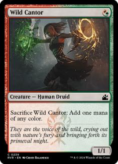 Wild Cantor