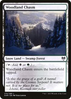 Woodland Chasm