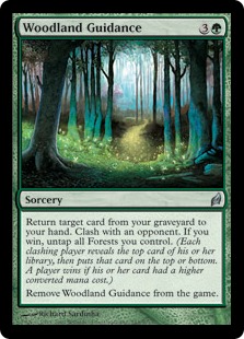 Woodland Guidance