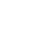 Commander 2019